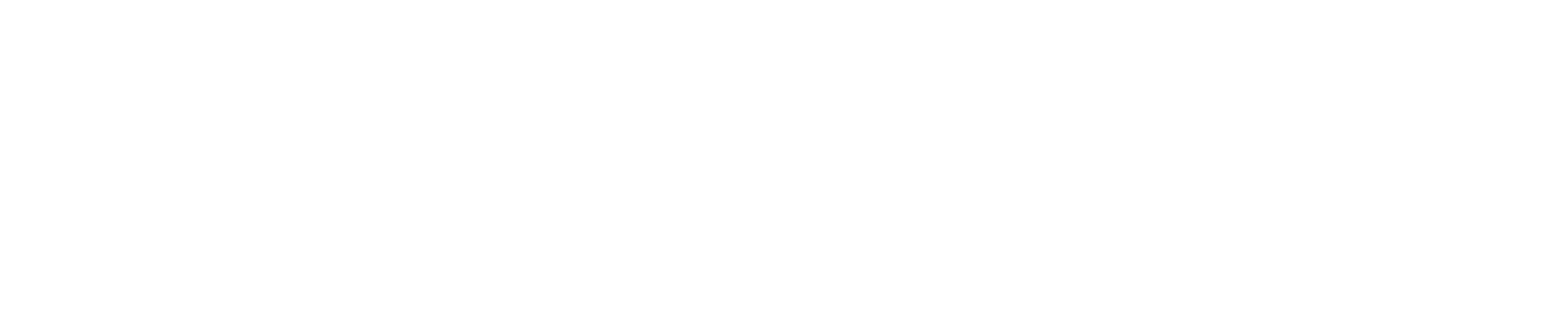 Dynamic Cyclist logo